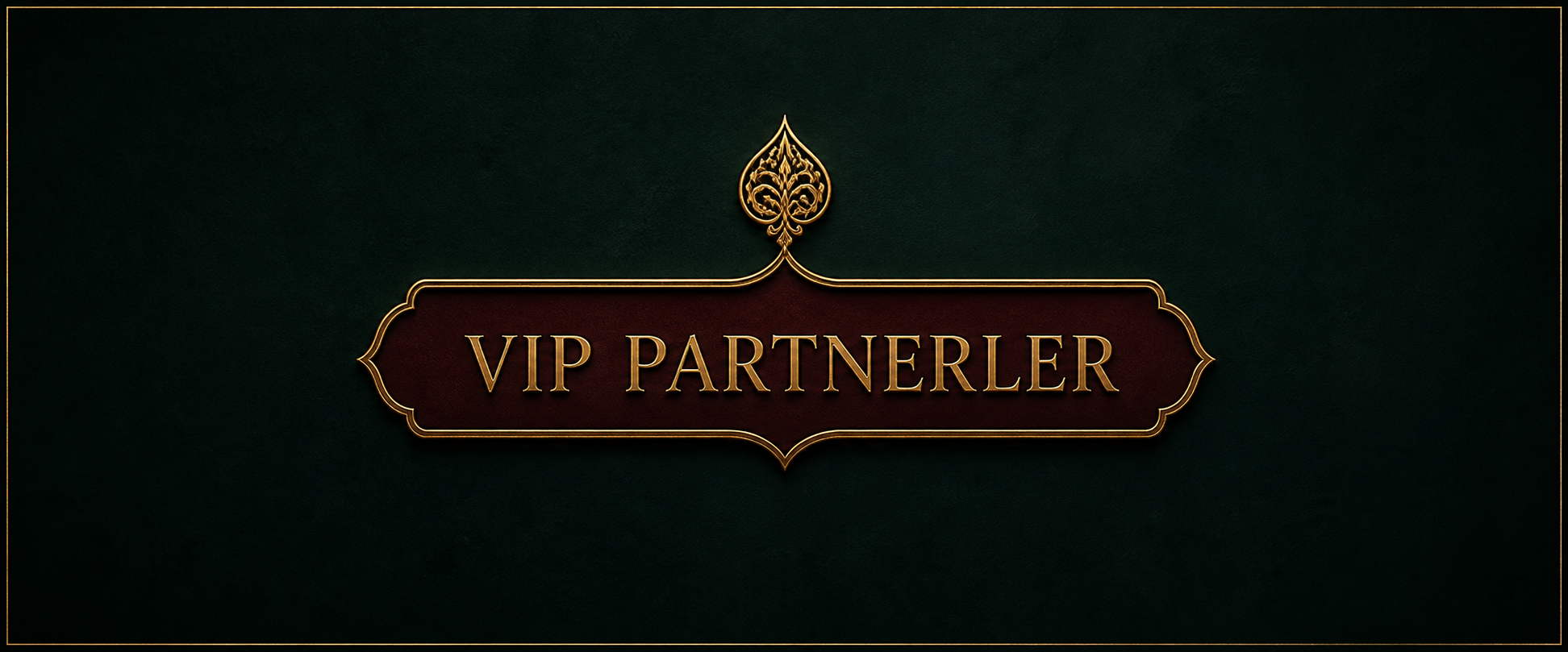 VIP Partnerler
